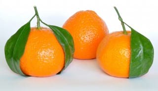 Tangerine.nojavanha