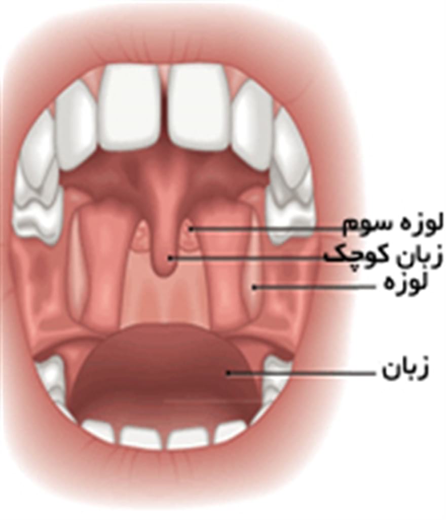بهداشت دهان