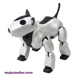 رباتیک-حیوانات خانگی (1)