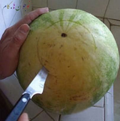 Watermelon.nojavanha (1)