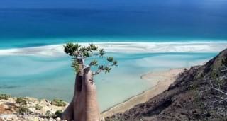 Socotra.nojavanha (3)