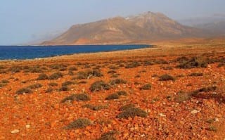 Socotra.nojavanha (6)