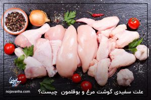علت سفیدی گوشت مرغ و بوقلمون برخلاف گوشت دیگر پرندگان چیست؟