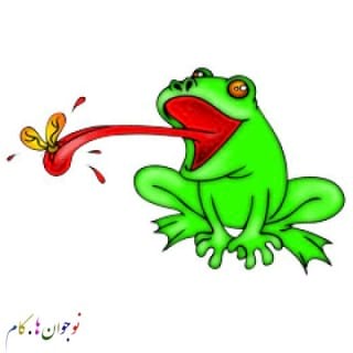 frog.nojavanha (1)