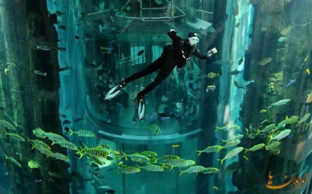 Aquarium.nojavanha (1)