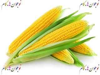 Corn-nojavanha (2)