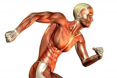 t مشکلاتی که با استخوان ها، عضلات و مفاصل ارتباط دارند