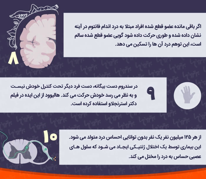 ۱۰ حقیقت جالب درباره مغز