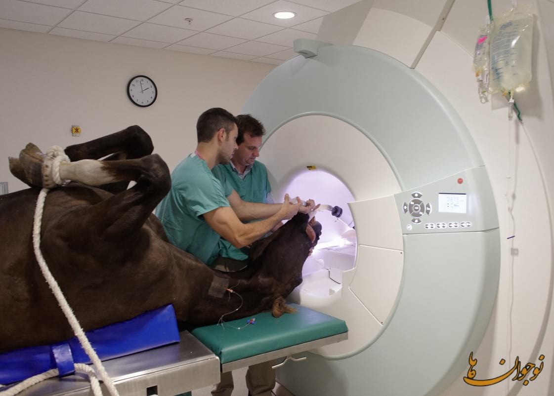 MRI (ام آر آی) چیست؟ وچه استفاده ای در پزشکی دارد؟