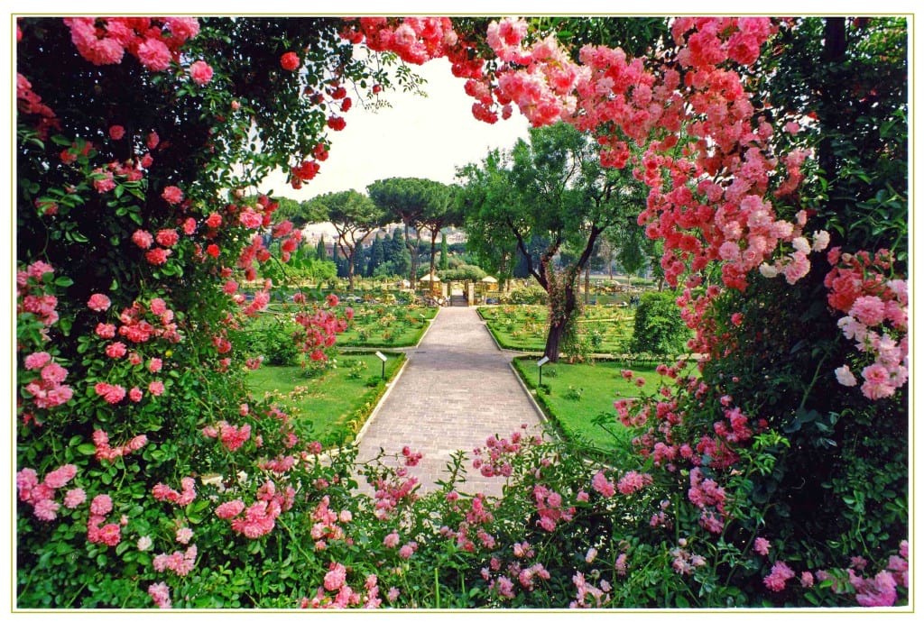 باغ رز شهرداری رم در ایتالیا
