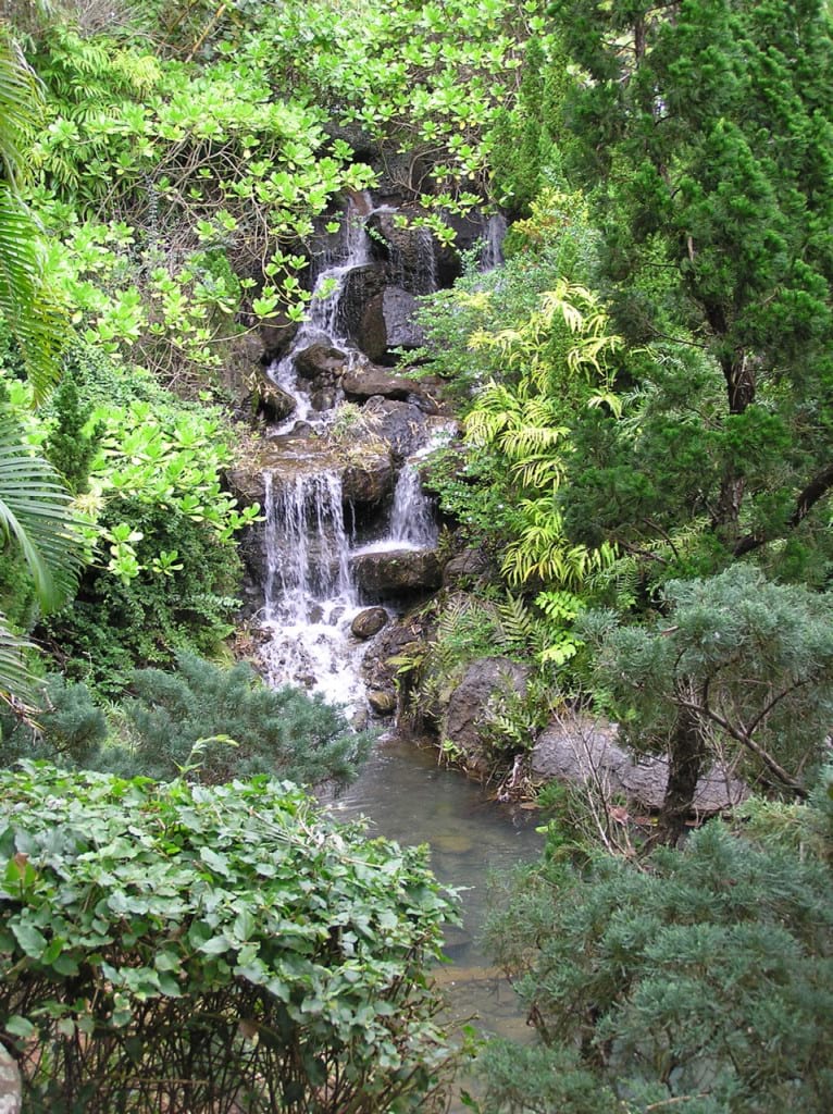 باغی در هاوایی