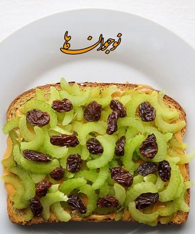 غذاهای سالم اردویی  نان تست + کره بادام زمینی + ساقه کرفس + کشمش یا مویز