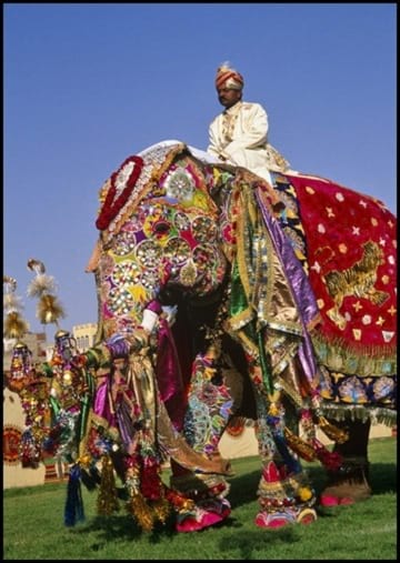 جشنواره فیل های رنگی (1)