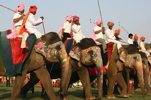 جشنواره فیل های رنگی (17)