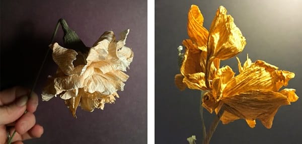 گل های کاغذی (4)