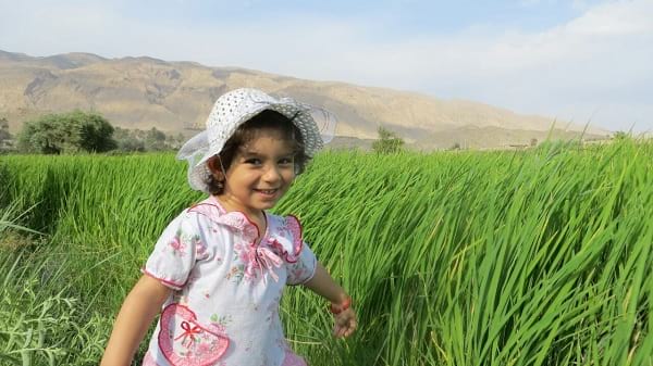 هلیا رضانژادفر، 20 ماهه از شیراز