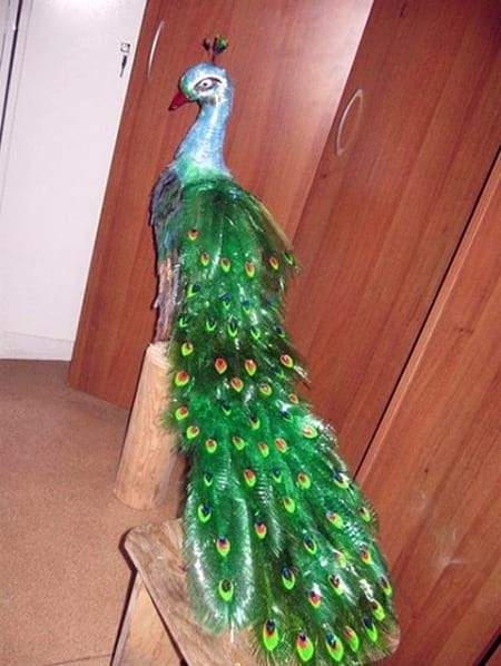 کاردستی طاووس با بطری نوشابه