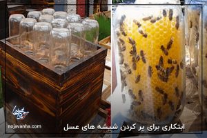 ابتکاری برای پر کردن شیشه های عسل