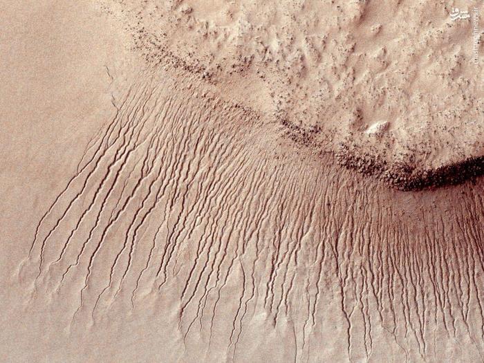 Portions of the Martian surface showing many channels from 1 meter to 10 meters wide on a scarp in the Hellas impact basin.