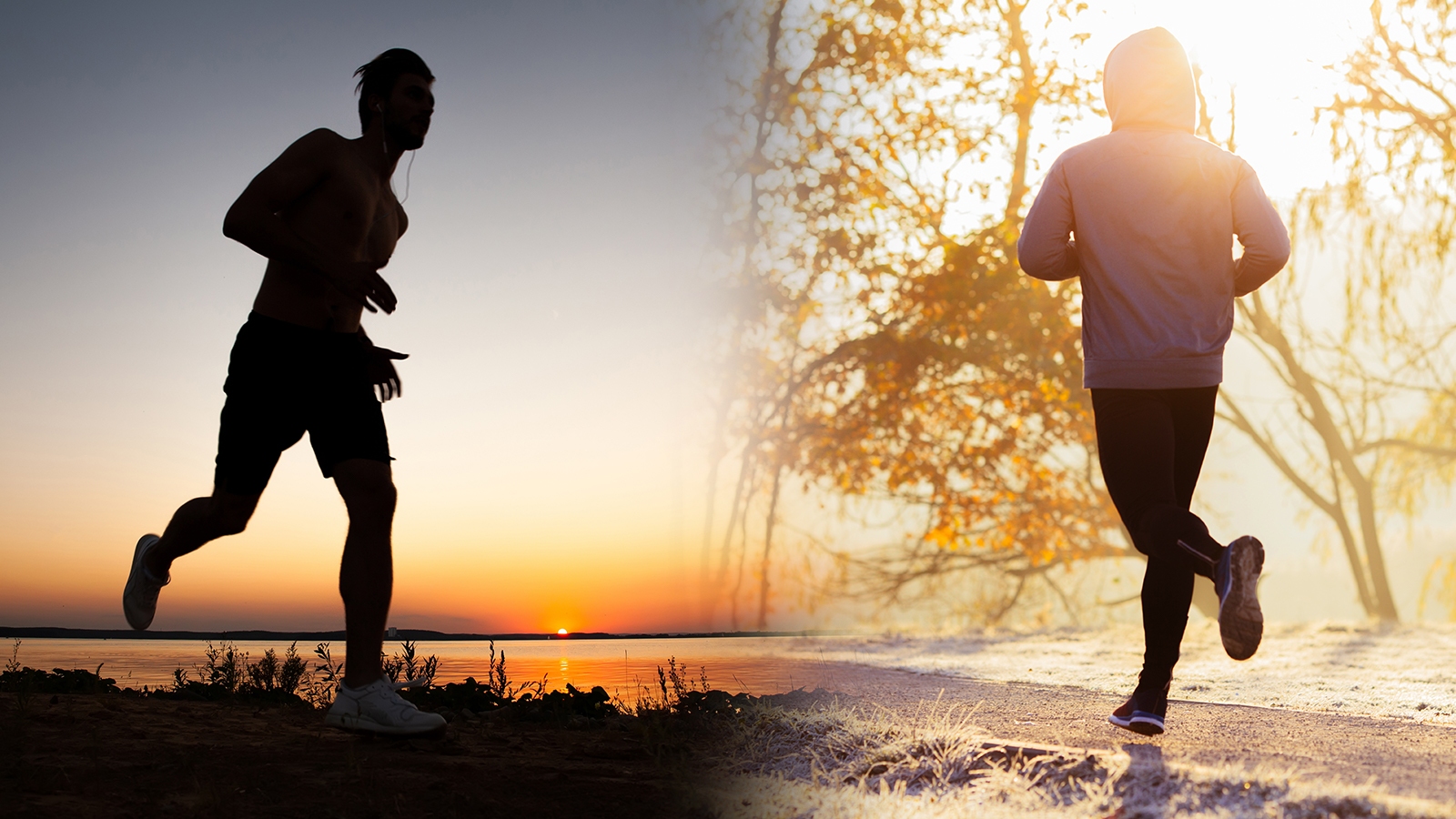 د‌وید‌ن بهترین ورزش برای سلامتی 