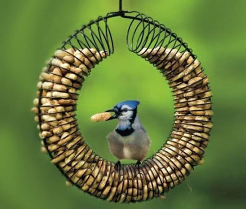 غذاخوری پرندگان با سیم فلزی