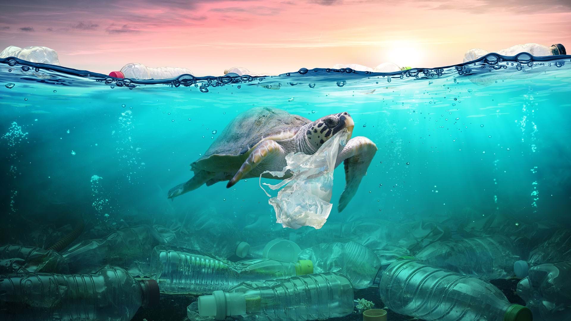 t پلاستیک عامل آلودگی دریاها