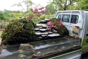 باغ ژاپنی در کامیون