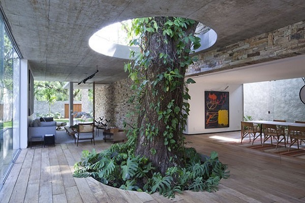خلاقیت با درختان در معماری
