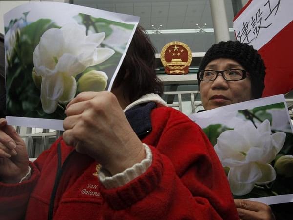 گل یاس وسانسور در چین