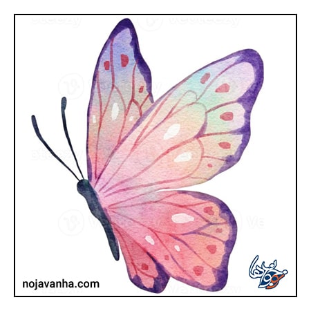 کشیدن نقاشی نقاشی پروانه