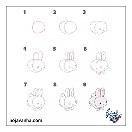 آموزش مرحله ای نقاشی خرگوش 