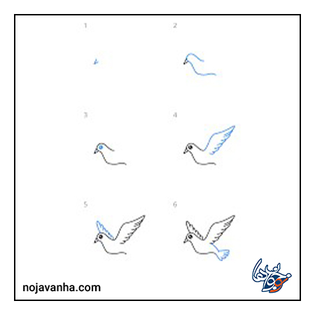 آموزش کشیدن نقاشی پرنده در حال پرواز