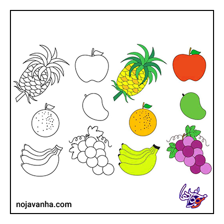 نقاشی انواع میوه ها