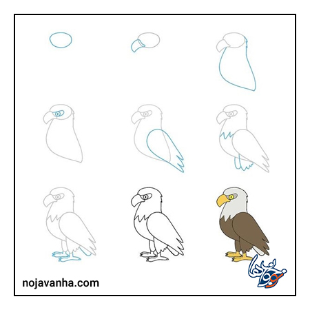 آموزش نقاشی عقاب اسان