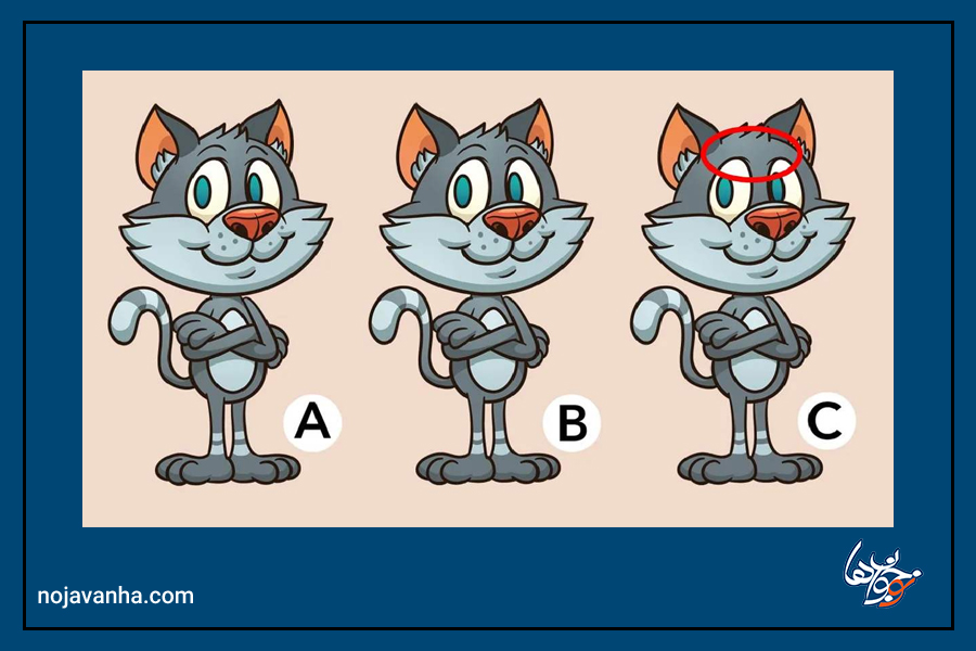کدام گربه در تصویر متفاوت است؟