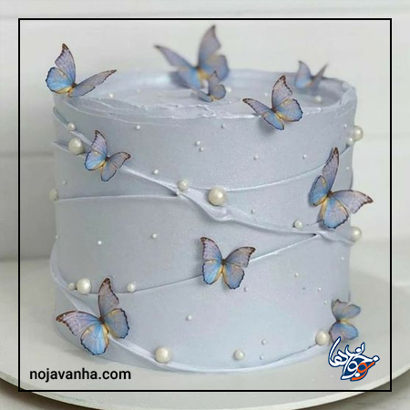 کیک برای تولدم پروانه ای یاسی