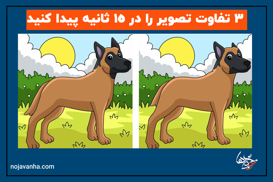 3 تفاوت در تصویر سگ