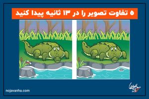 5 تفاوت بین دو تصویر تمساح