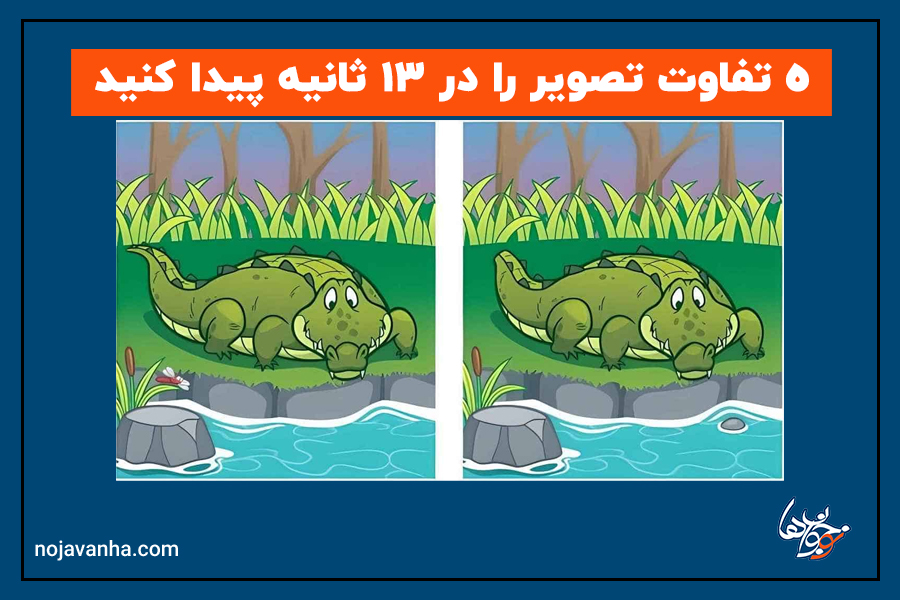 5 تفاوت بین دو تصویر تمساح