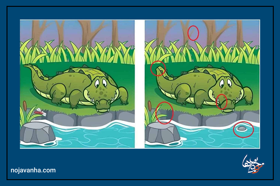  5 تفاوت بین دو تصویر تمساح