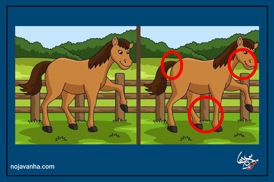 3 تفاوت بین دو عکس اسب