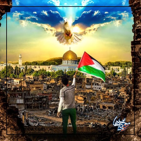 انشا در مورد فلسطین