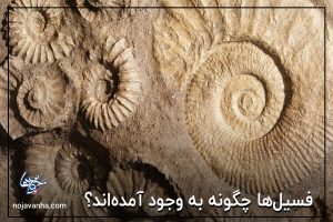 t فسیل‌ها چگونه به وجود آمده‌اند؟